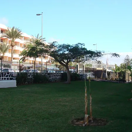 Apartamento Cactus
