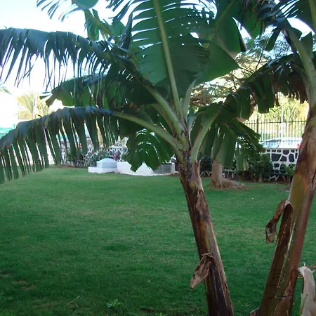 Apartamento Cactus *