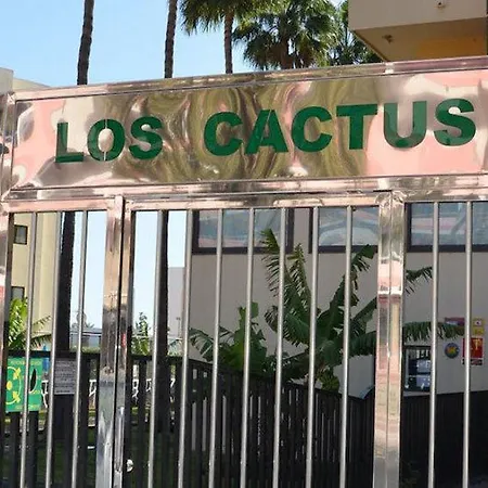 Cactus * Playa del Inglés