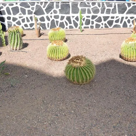 Apartamento Cactus Playa del Inglés